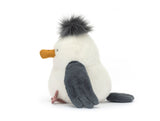 Chip Seagull