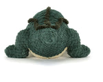 Allexi Alligator