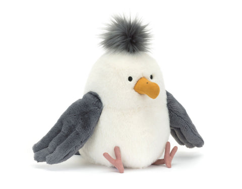 Chip Seagull