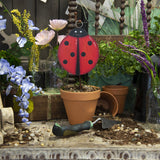 Mini Gallery Ladybug Charm
